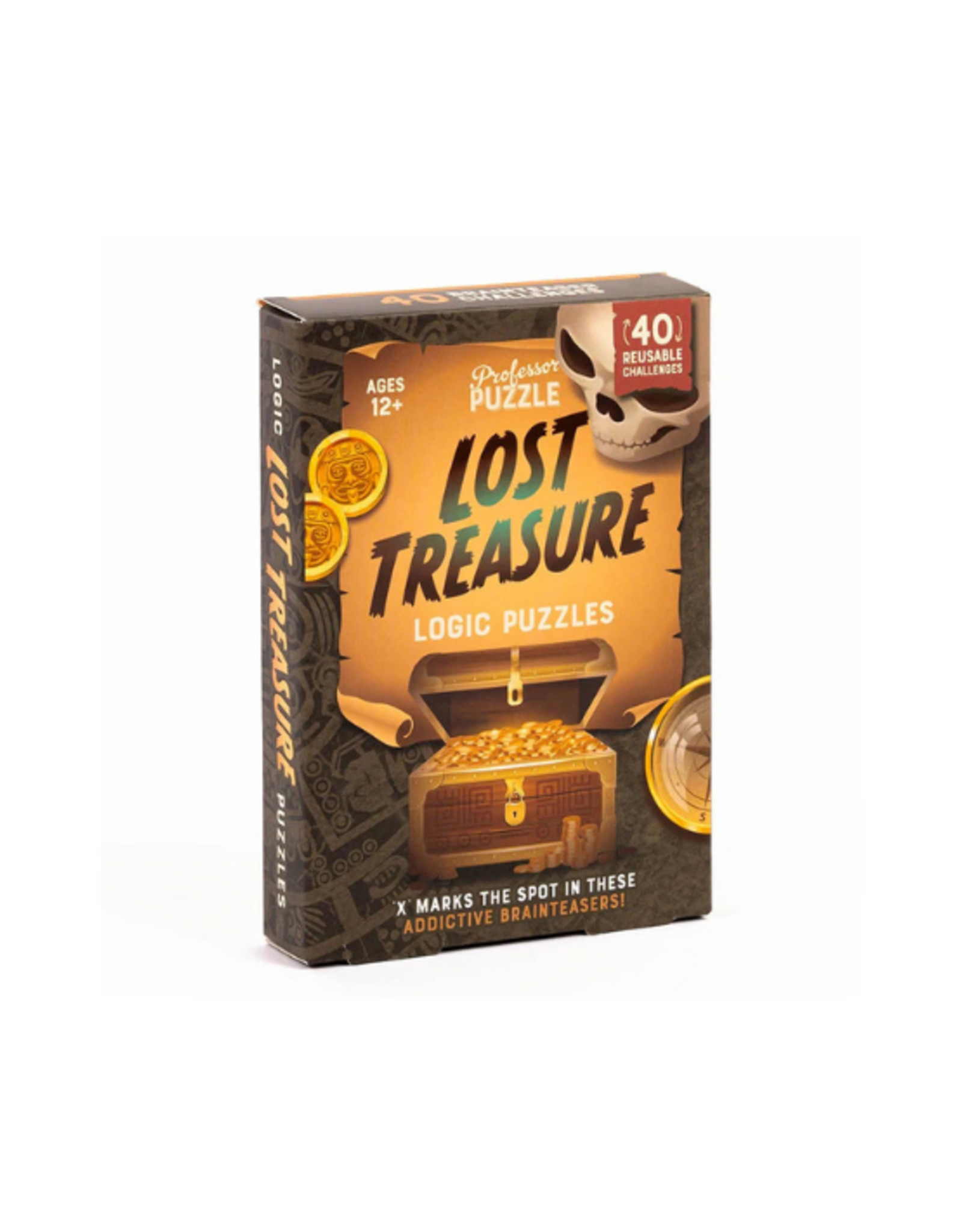 Professor Puzzle Professor Puzzle - Lost Treasure