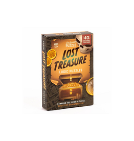 Professor Puzzle Lost Treasure
