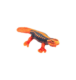 Wild Republic Coilkins Himalayan Newt