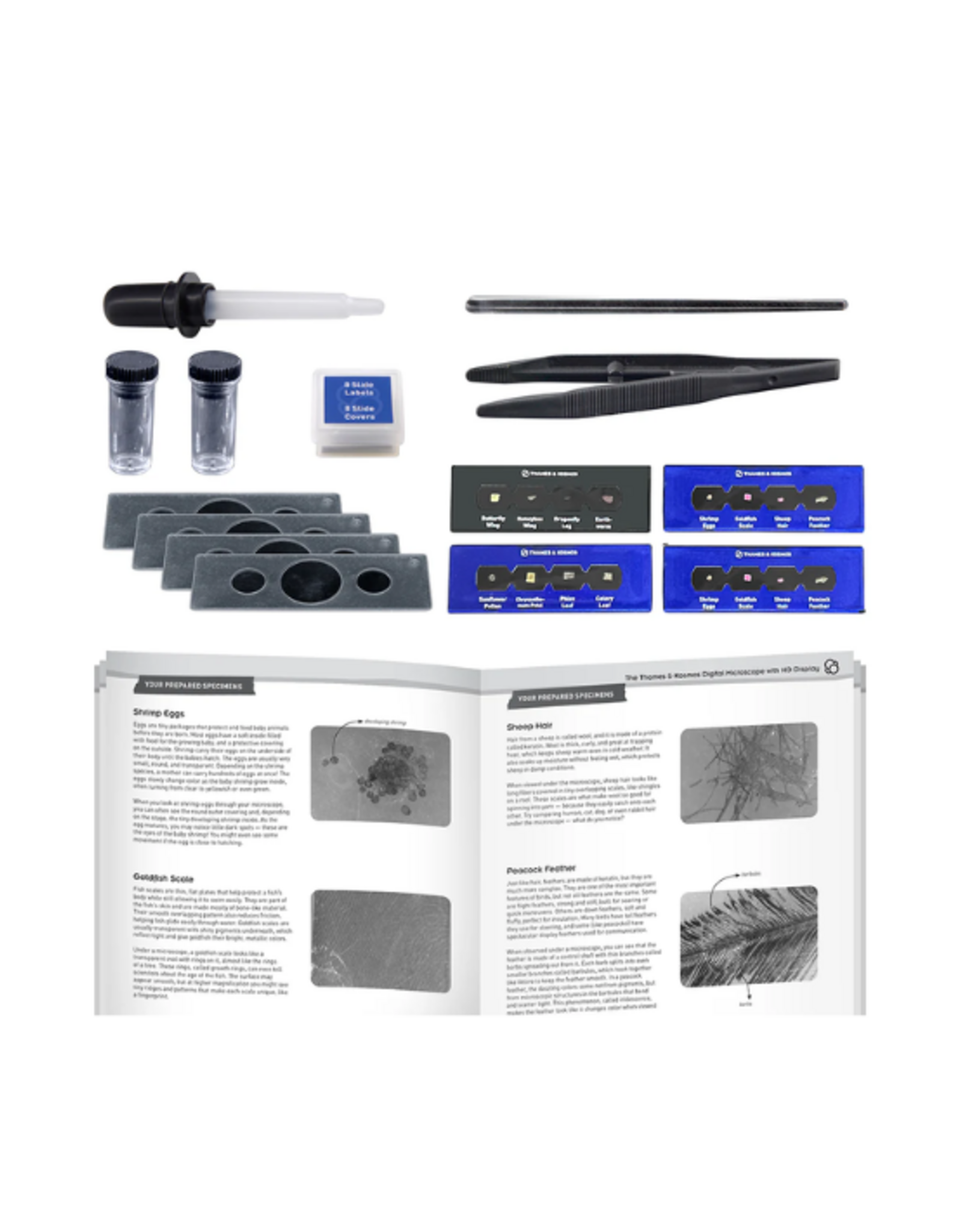 Thames & Kosmos The Thames & Kosmos Digital Microscope with HD Imaging and LCD Display