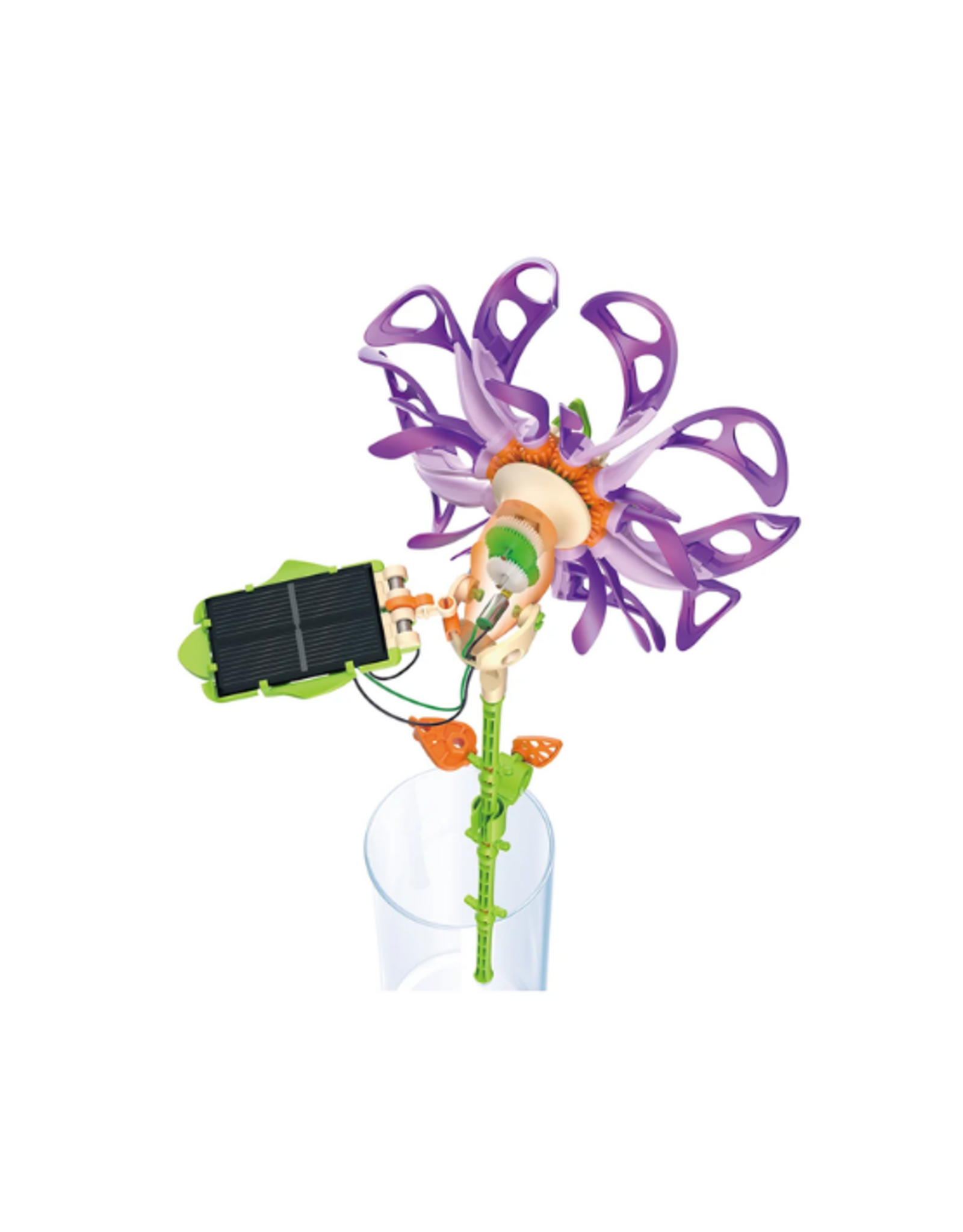 Thames & Kosmos Thames & Kosmos - SolarFlower - Purple Majestic