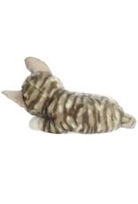 Aurora Aurora - Miyoni Tots - 10" Sleepy Tabby Kitten Gray