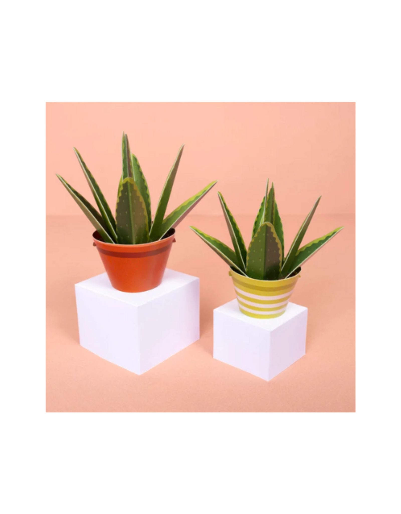 Clockwork Soldier Clockwork Soldier - Make Your Own Healing Aloe Vera