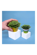 Clockwork Soldier Clockwork Soldier - Make Your Own Soothing Succulent