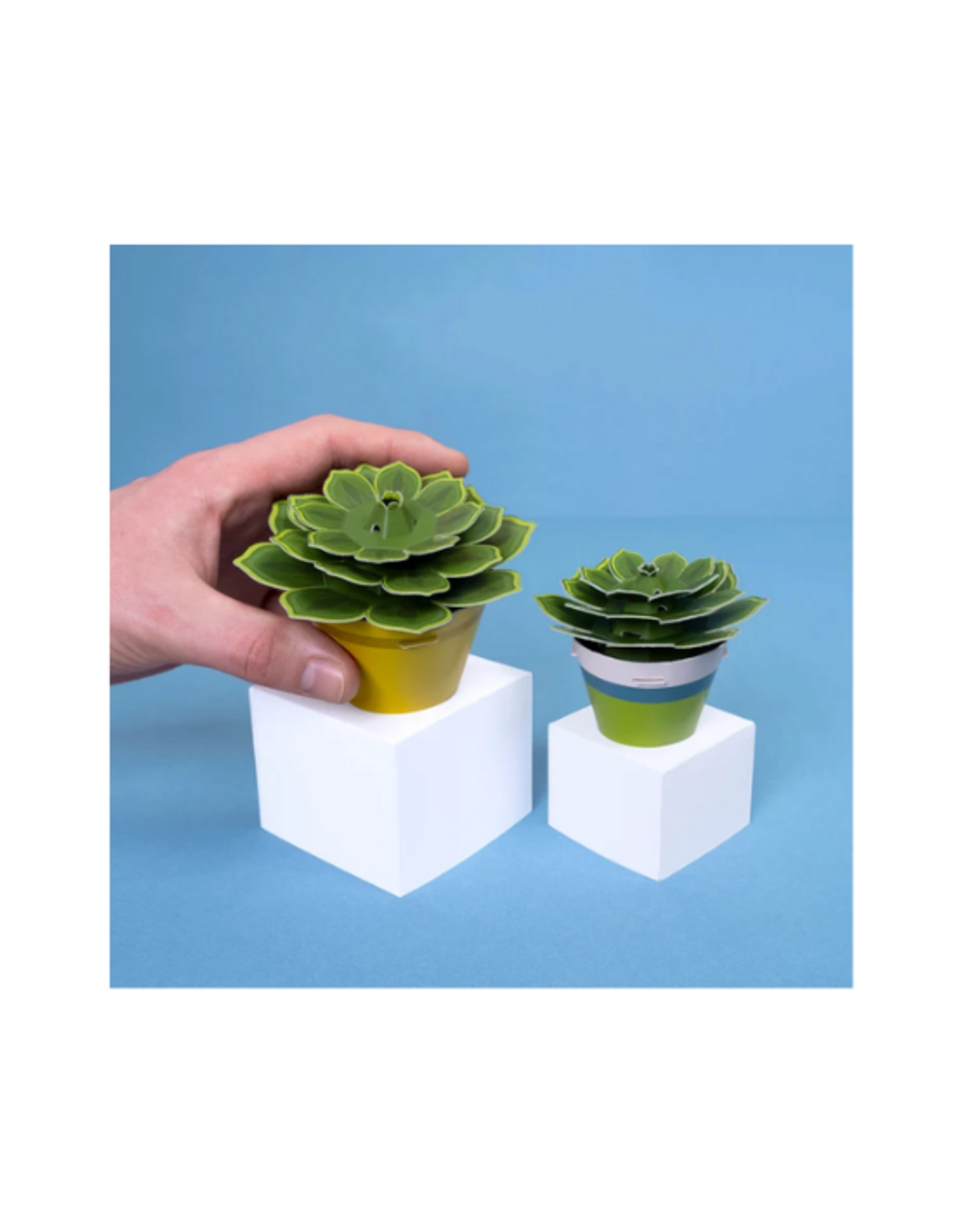 Clockwork Soldier Clockwork Soldier - Make Your Own Soothing Succulent