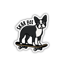 Stickers Northwest Inc. Stickers Northwest Sk8r Boi Sticker