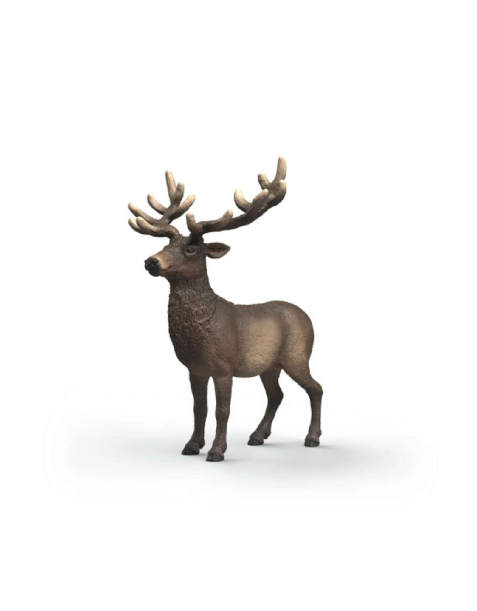 Schleich Schleich - Wild Life - 14992 - Elk