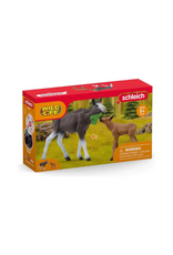 Schleich Schleich - Wild Life - 42629 - Moose Family