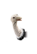 Folkmanis Puppets Folkmanis Puppets - Ostrich Stage Puppet