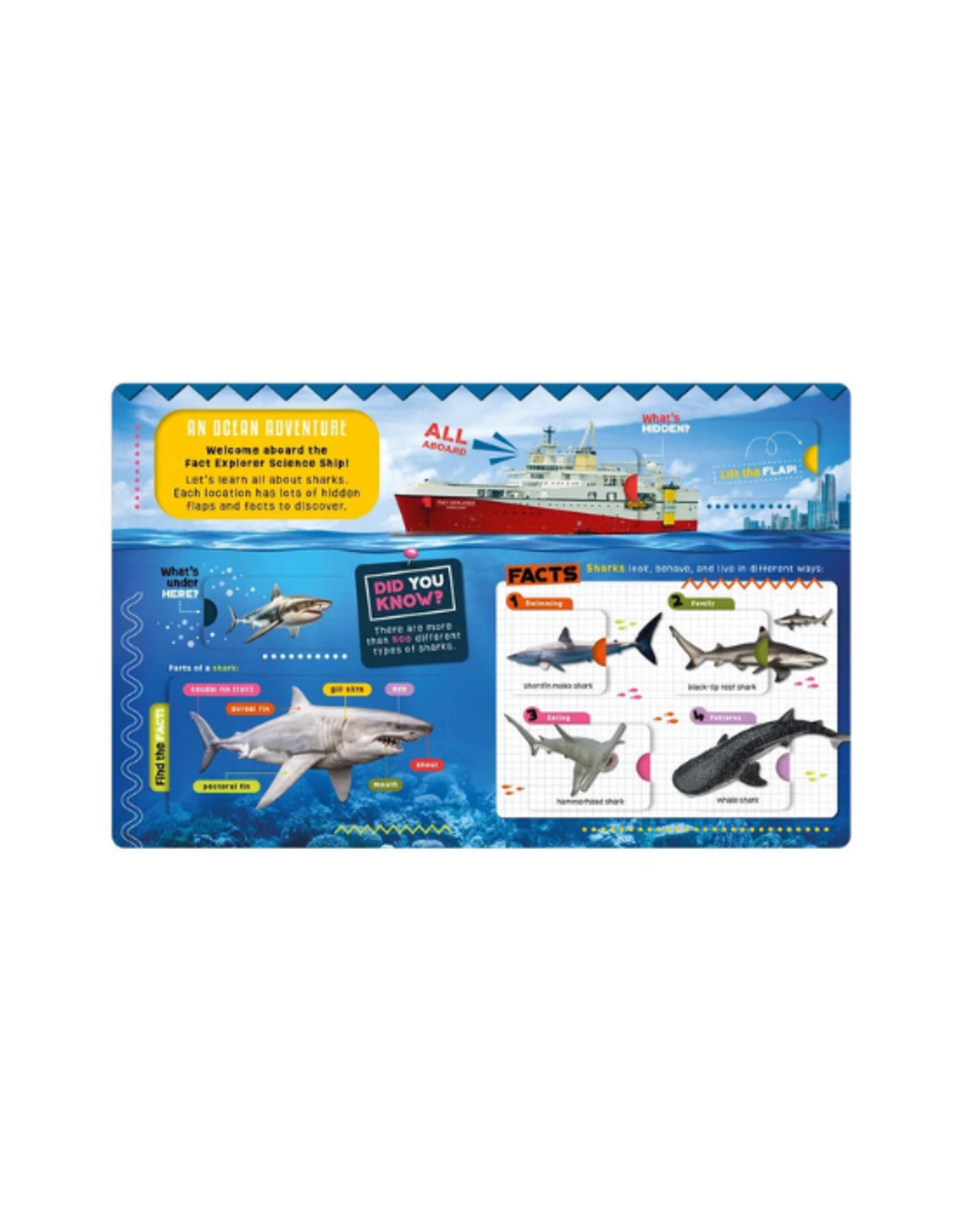Make Believe Ideas Make Believe Ideas - Fact Explorer Sharks