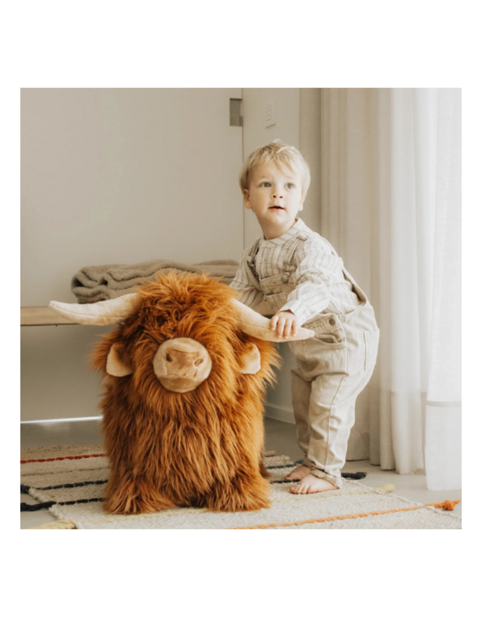 Wild and Soft Wild and Soft - Soft Bouncy Highland Cow