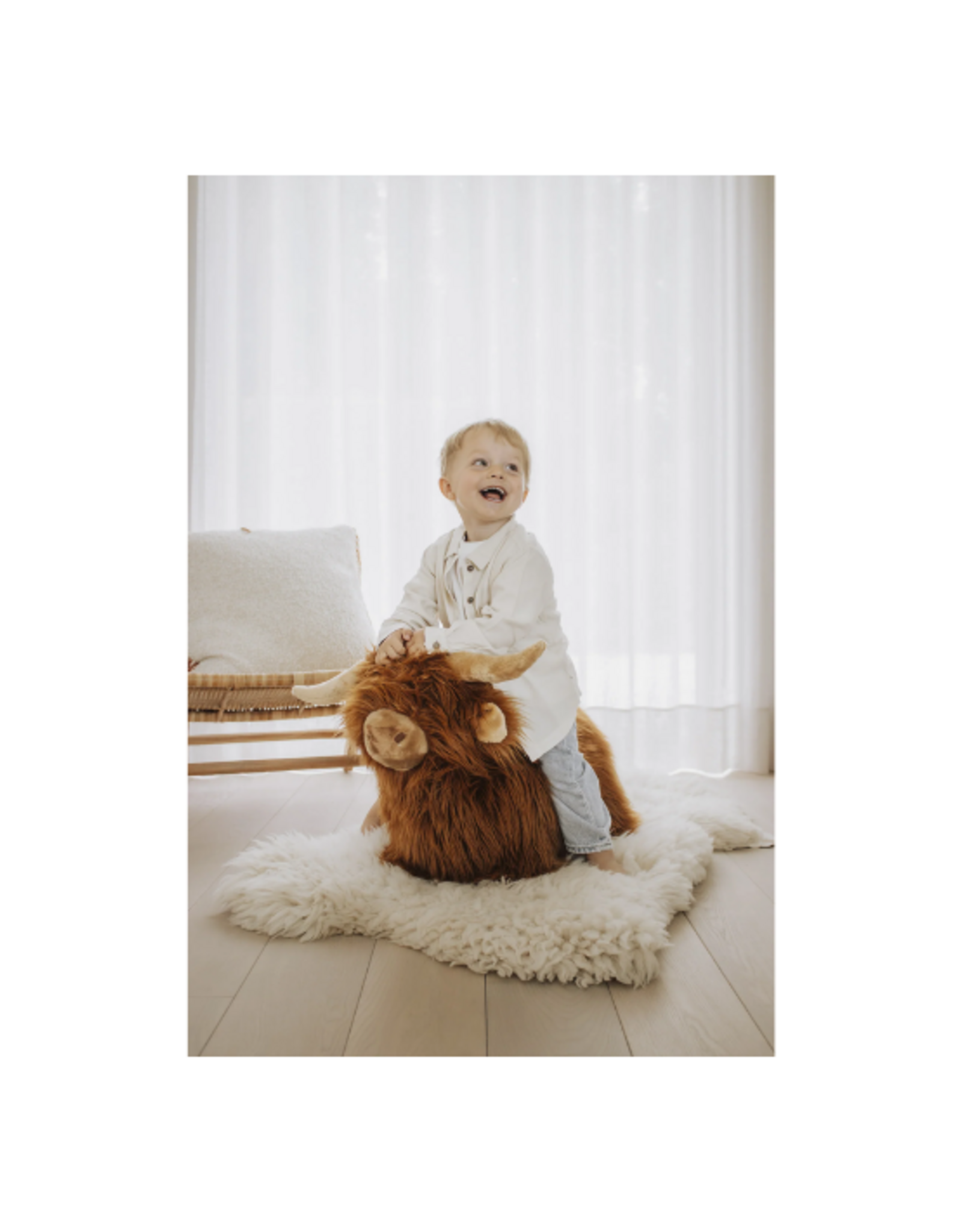 Wild and Soft Wild and Soft - Soft Bouncy Highland Cow