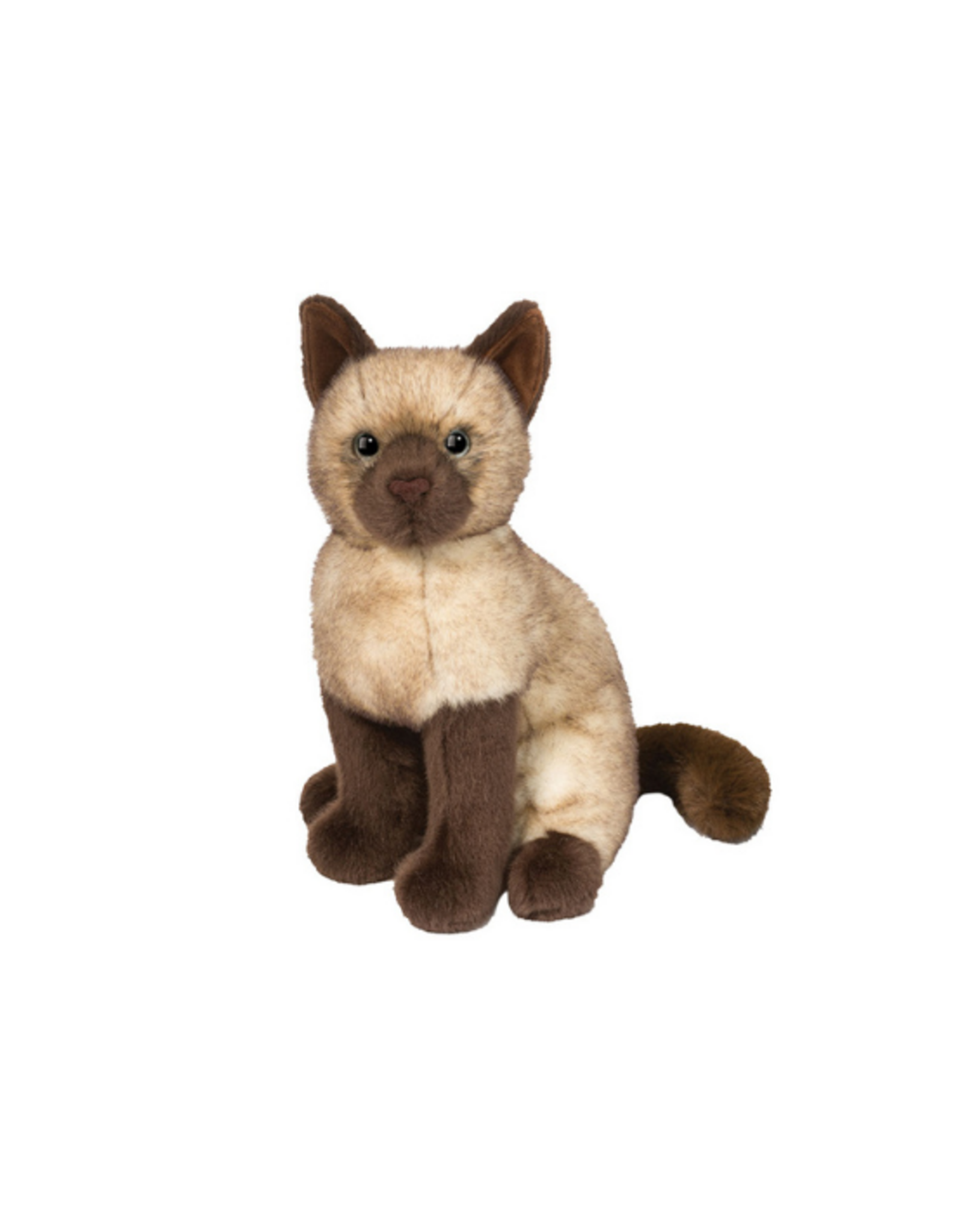 Douglas Douglas - Chai Siamese Cat