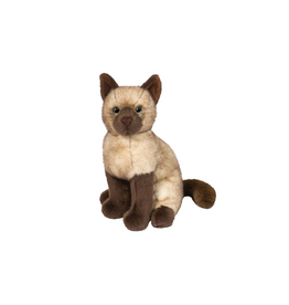 Douglas Douglas Chai Siamese Cat