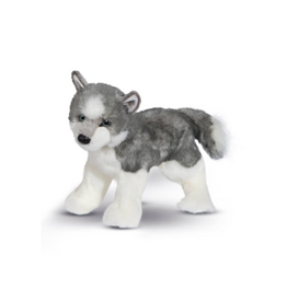 Douglas Douglas Sasha Husky