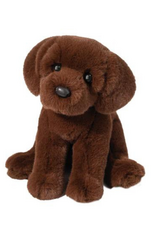 Douglas Douglas - Zoom Chocolate Lab