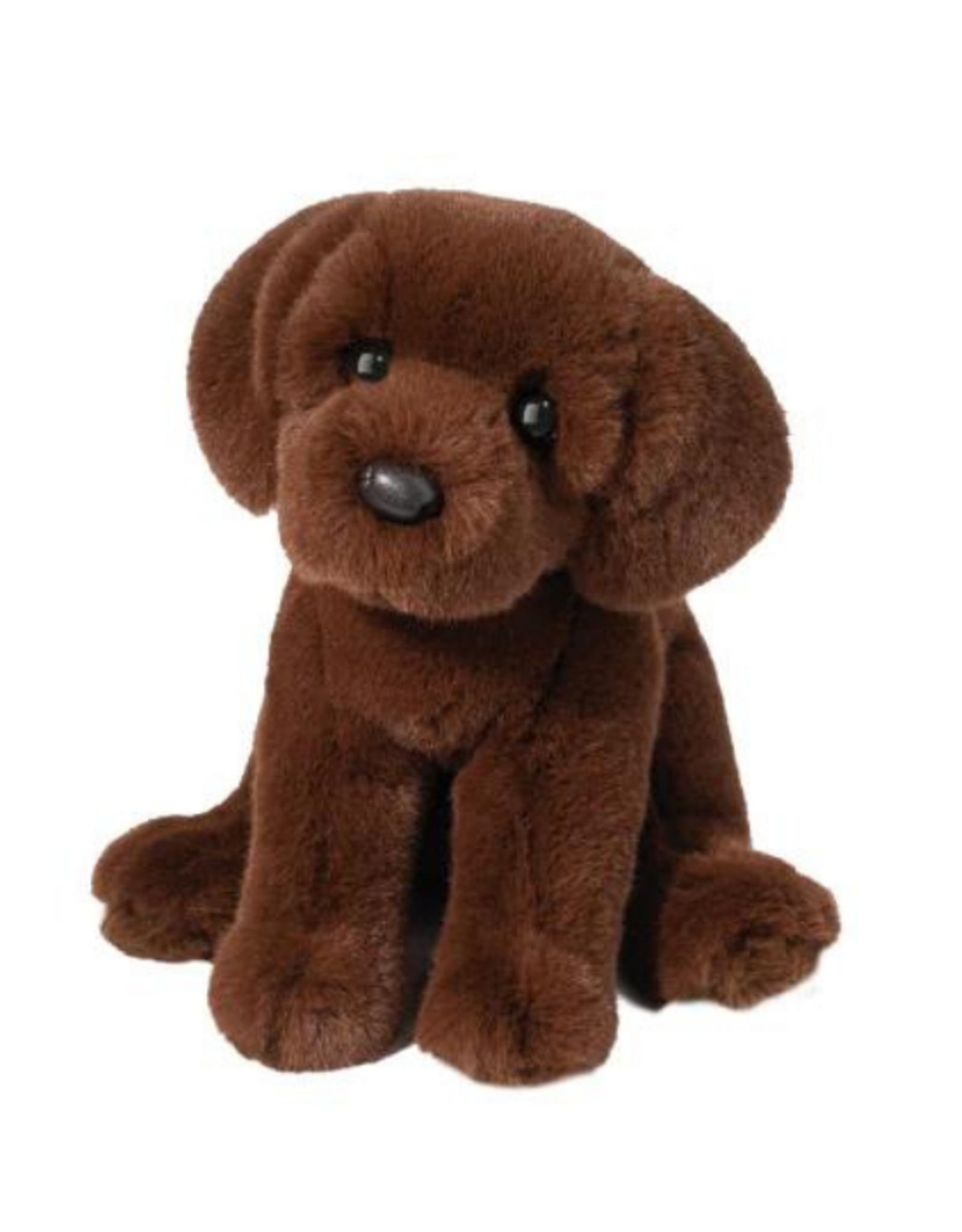 Douglas Douglas - Zoom Chocolate Lab