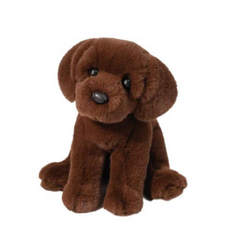 Douglas Douglas Zoom Chocolate Lab