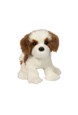 Douglas Douglas - Farren Shih Tzu