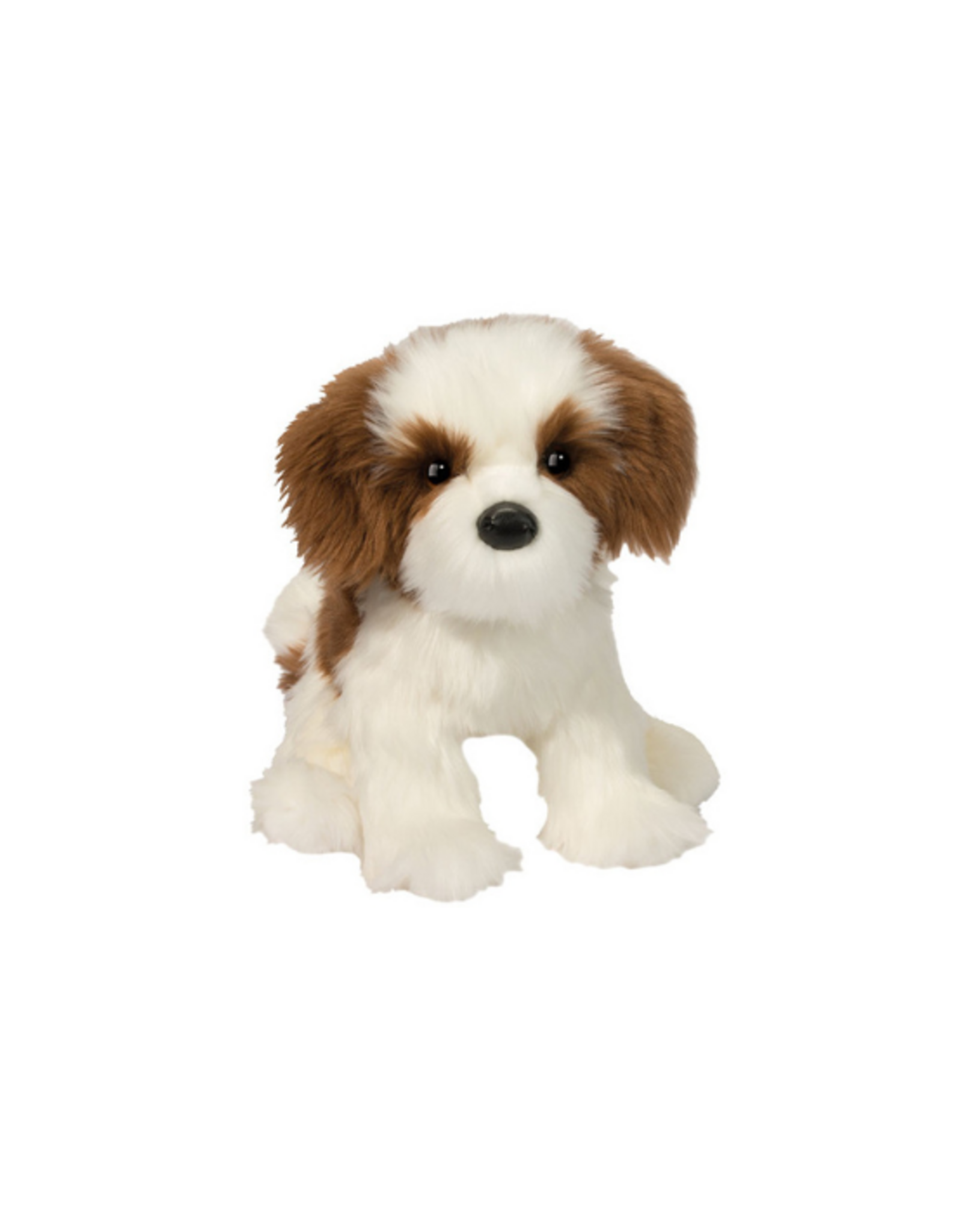 Douglas Douglas - Farren Shih Tzu
