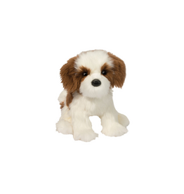 Douglas Douglas Farren Shih Tzu