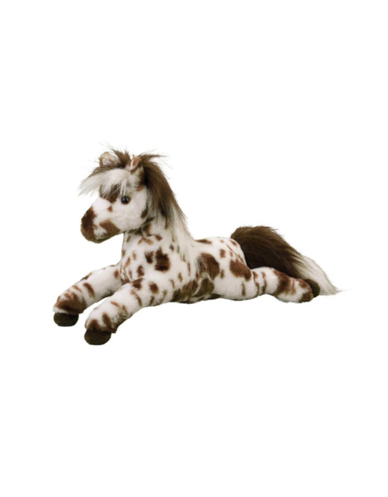 Douglas Douglas - Duke Appaloosa Horse