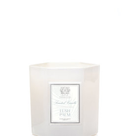 Antica Farmacista Lush Palm Candle Antica Farmacista Lush Palm Candle