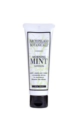 Archipelago Botanicals Morning Mint Travel Lotion