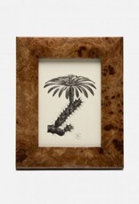 Pigeon & Poodle Narvik Burl Maple Veneer Frame Dark Brown  5x7