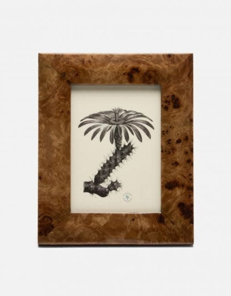 Pigeon & Poodle Narvik Burl Maple Veneer Frame Dark Brown  5x7