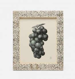 Pigeon & Poodle Ismailia Spotted Bone Frame Silver 8x10