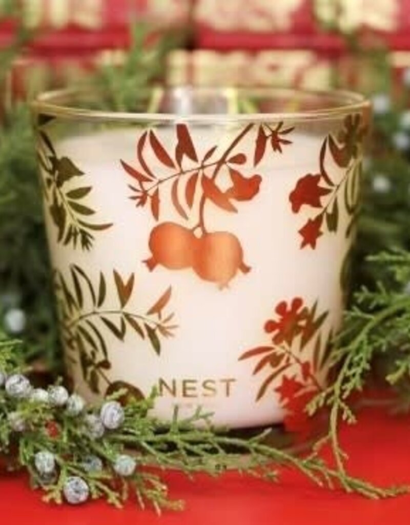 Nest Specialty 3 Wick Holiday 21 oz