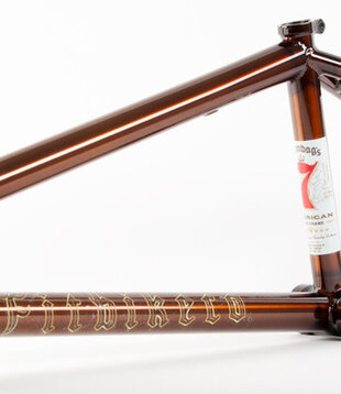 FIT BEGIN FRAME 20.75 BROWN