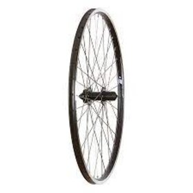Wheel Shop, Evo Tour 19 Black/ Formula DC-22, Wheel, Rear, 700C / 622, Holes: 36, QR, 135mm, Rim and Disc IS 6-bolt, Shimano HG