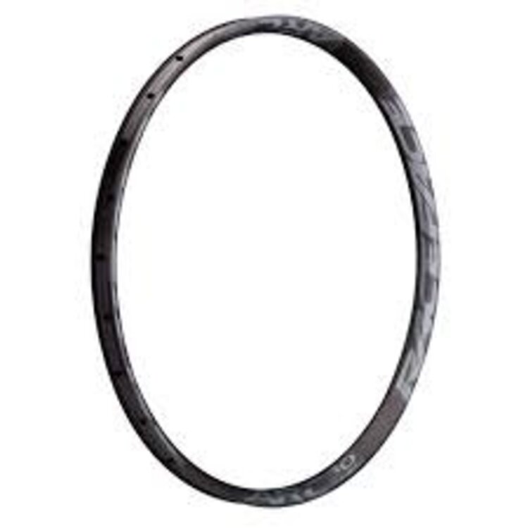 RaceFace RIM ARC OFFSET 35 29" 28H GRY 19