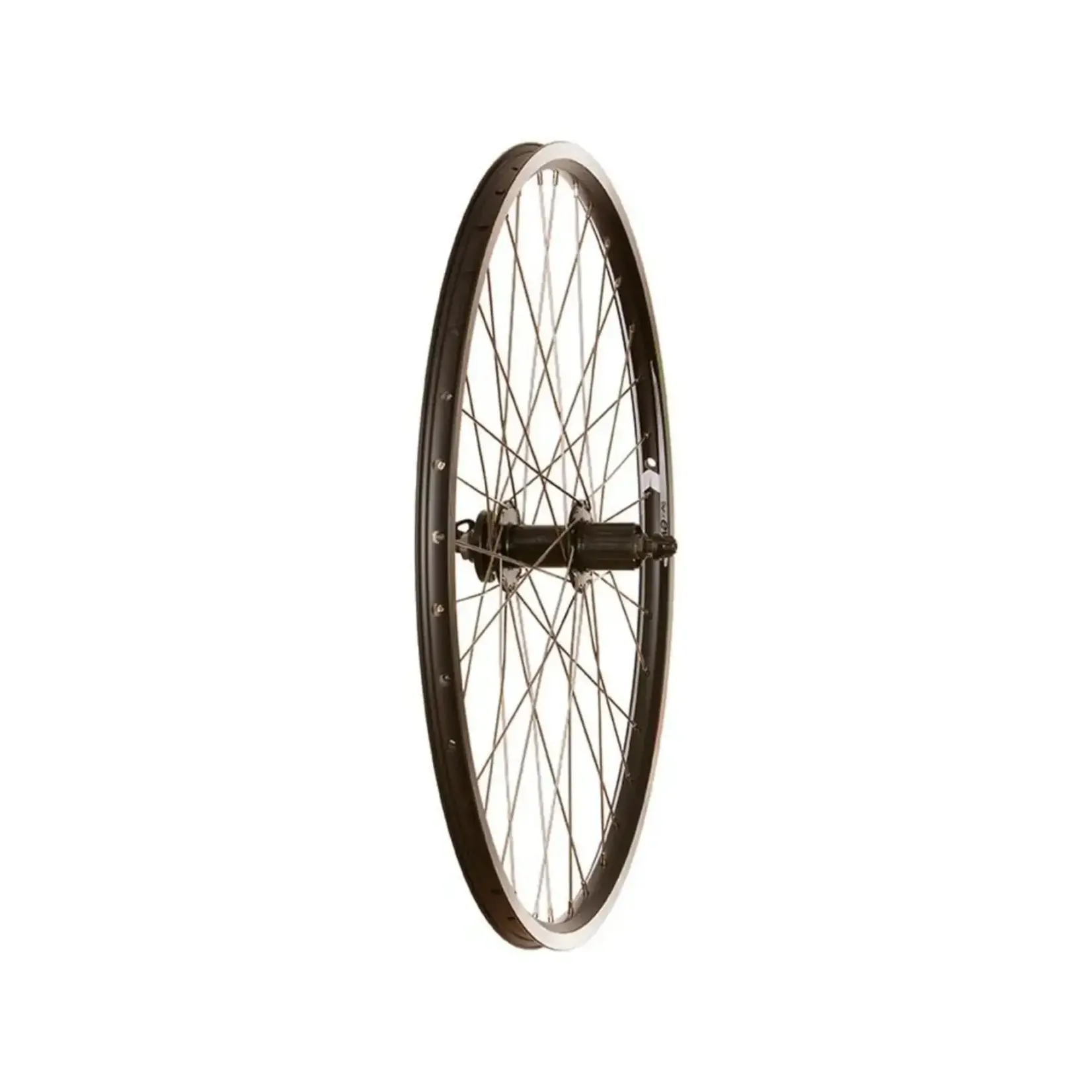 Wheel Shop Roue Arrière QR/Disque/Shimano hG noir 7-9 vitesses 26"