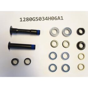 Giant Giant, Ensemble de boulons inférieur pour Reign Advanced 0/1 & Reign SX/1/2 18-19