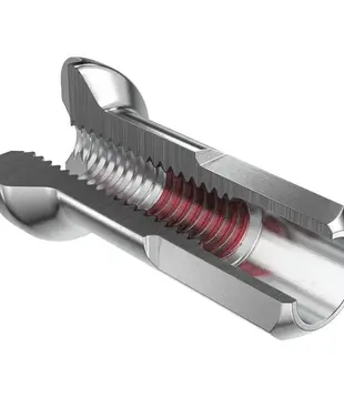Écrou à rayon DT Swiss Prolock