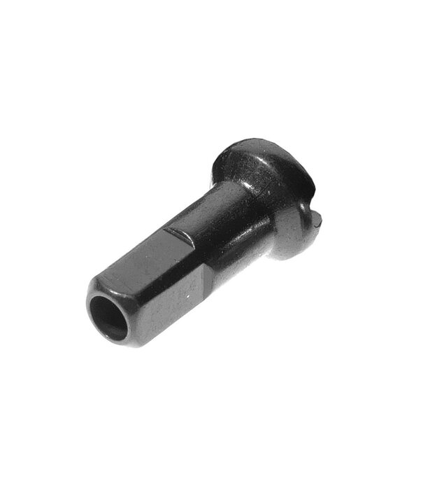 DT Swiss Écrou à rayon DT Swiss Prolock