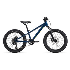 Giant Giant STP 20 FS Blue Palace 2025