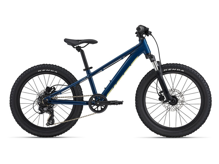 Giant Giant STP 20 FS Blue Palace 2025