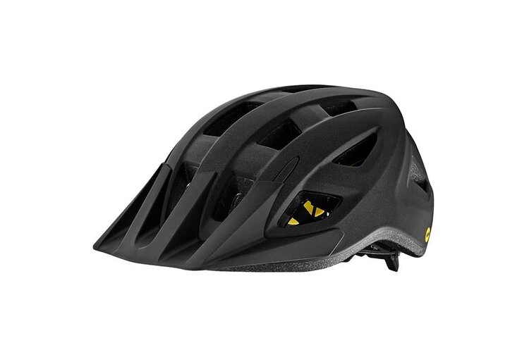 Giant Giant, Casque de vélo Path Mips