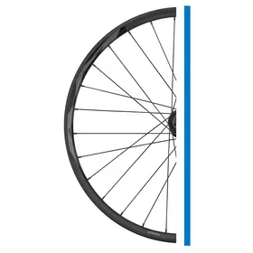 Giant Giant, Roue Arrière AM29, Shimano Microspline, Centerlock (Take Off)