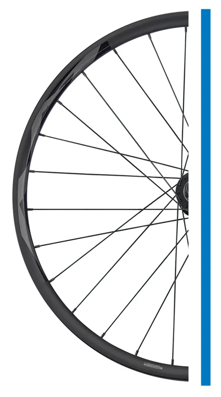 Giant Giant, Roue Arrière AM29, Shimano Microspline, Centerlock (Take Off)