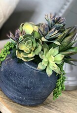 3.9.24 - Succulent Workshop