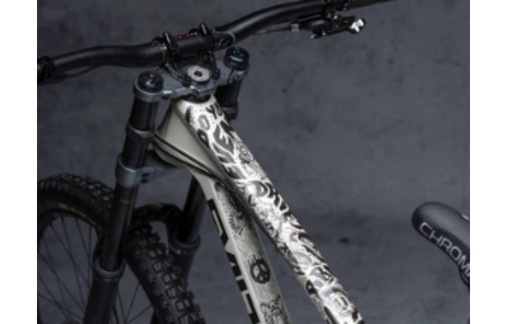 Frame Protection