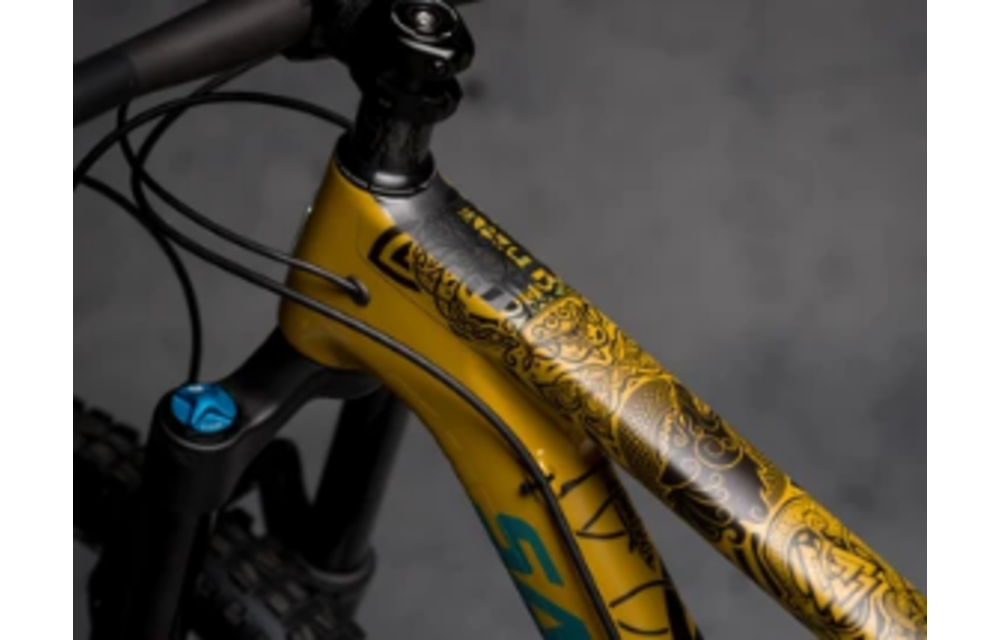 Frame Protection