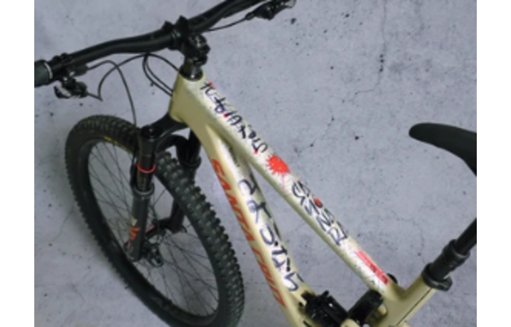 Frame Protection