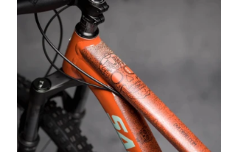 Frame Protection