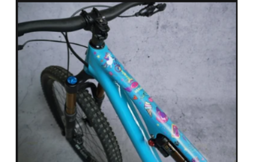 Frame Protection